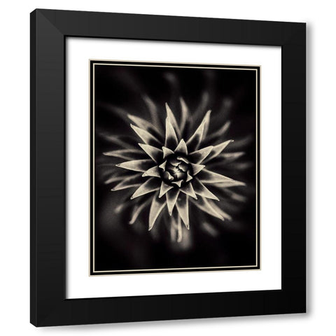 Star Black Modern Wood Framed Art Print with Double Matting by Salem, Saad