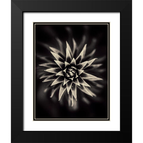 Star Black Modern Wood Framed Art Print with Double Matting by Salem, Saad