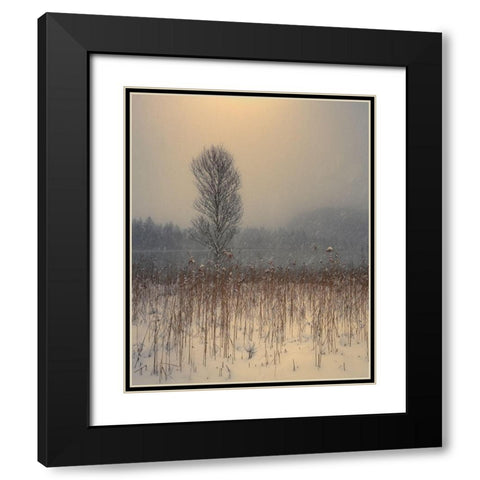 Lonely Tree Black Modern Wood Framed Art Print with Double Matting by Gialopoulos, Anastasios