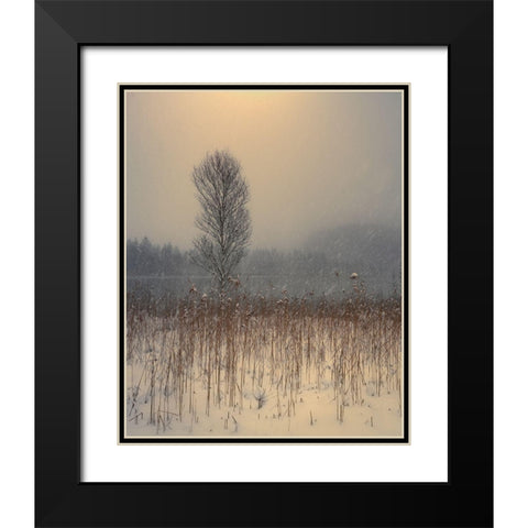 Lonely Tree Black Modern Wood Framed Art Print with Double Matting by Gialopoulos, Anastasios