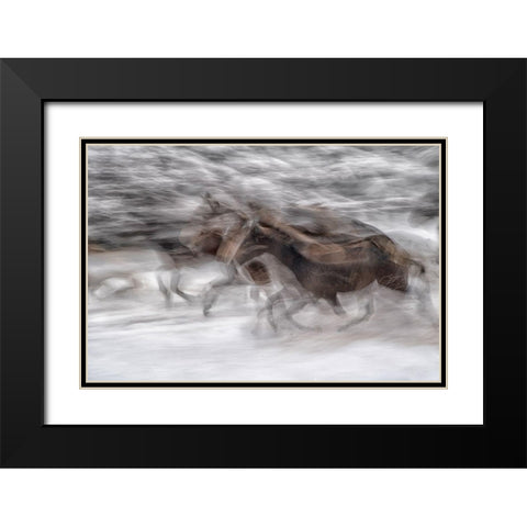 Black Dominance Black Modern Wood Framed Art Print with Double Matting by Malovrh, Milan
