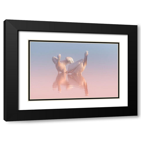 Two Pelicans Black Modern Wood Framed Art Print with Double Matting by Rublina, Natalia
