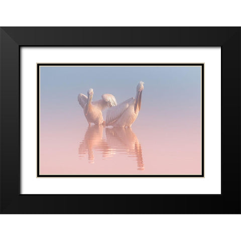 Two Pelicans Black Modern Wood Framed Art Print with Double Matting by Rublina, Natalia