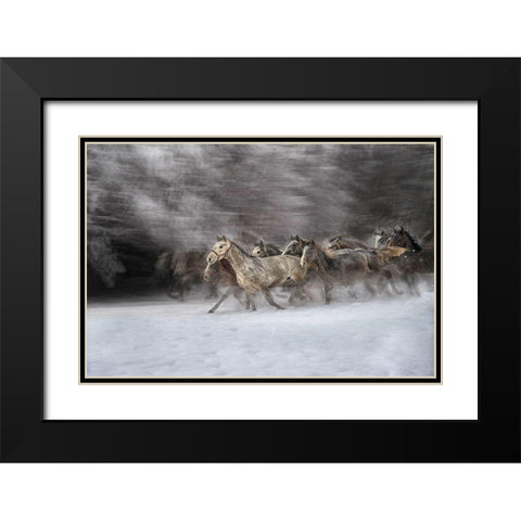 Winter Joy Black Modern Wood Framed Art Print with Double Matting by Malovrh, Milan