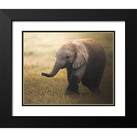 Falafelo Black Modern Wood Framed Art Print with Double Matting by Sobhi, Ahmed