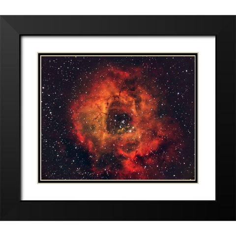 The Rose in the Sky Black Modern Wood Framed Art Print with Double Matting by Auf dem, Andrea