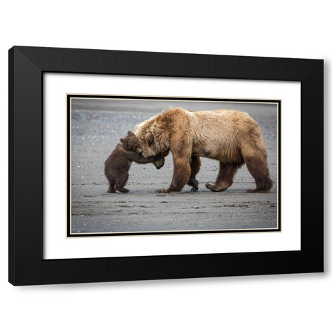 A Little Bear Hug Black Modern Wood Framed Art Print with Double Matting by Doyle, Renee