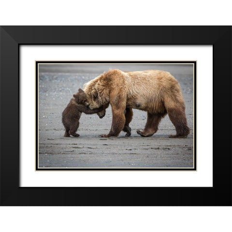 A Little Bear Hug Black Modern Wood Framed Art Print with Double Matting by Doyle, Renee