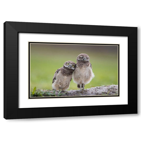 Friends Black Modern Wood Framed Art Print with Double Matting by Barsh, Greg