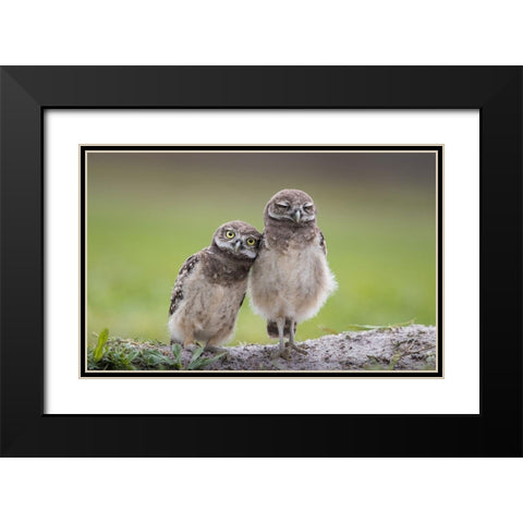 Friends Black Modern Wood Framed Art Print with Double Matting by Barsh, Greg