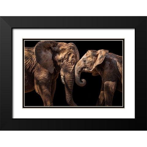 Elephants Black Modern Wood Framed Art Print with Double Matting by Martins, Vitor