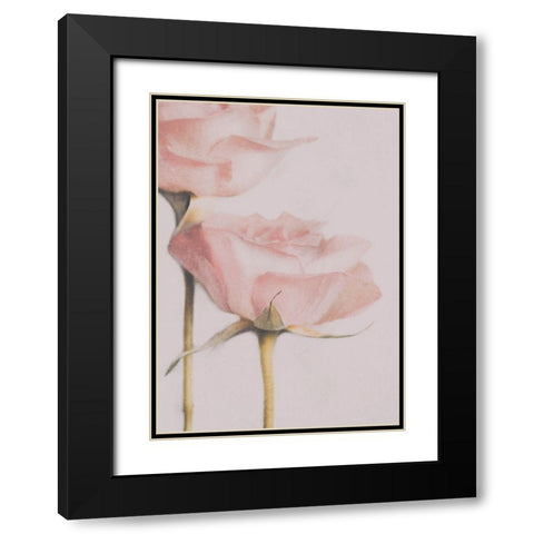 Two Roses Black Modern Wood Framed Art Print with Double Matting by Devos, Delphine