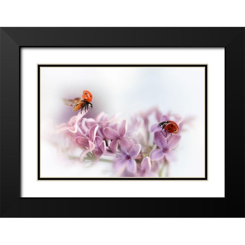 Almost Summer Black Modern Wood Framed Art Print with Double Matting by Deelen, Ellen van