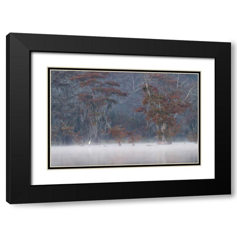 Egrette Black Modern Wood Framed Art Print with Double Matting by Marchegiani, Roberto