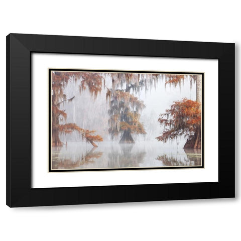 Mysty Bayou Black Modern Wood Framed Art Print with Double Matting by Marchegiani, Roberto
