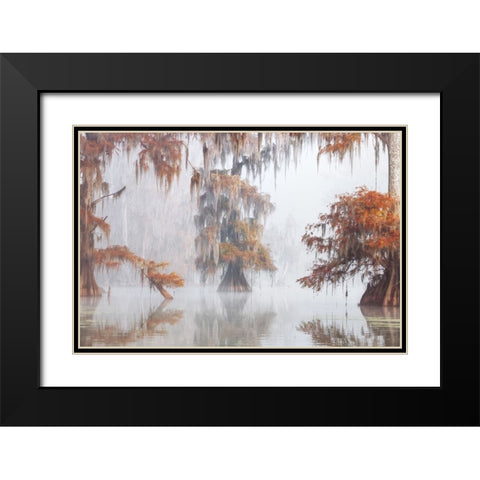 Mysty Bayou Black Modern Wood Framed Art Print with Double Matting by Marchegiani, Roberto