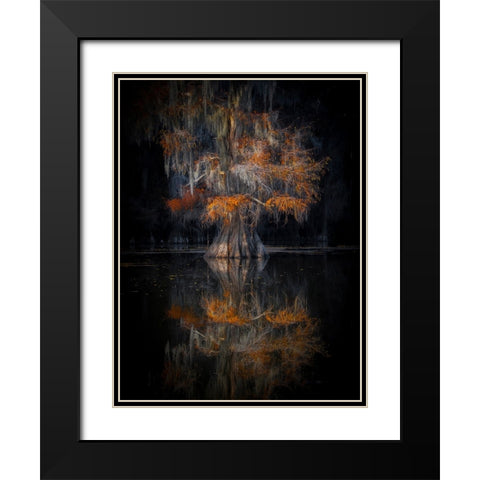 Cypress Reflection Black Modern Wood Framed Art Print with Double Matting by Zheng, Michael