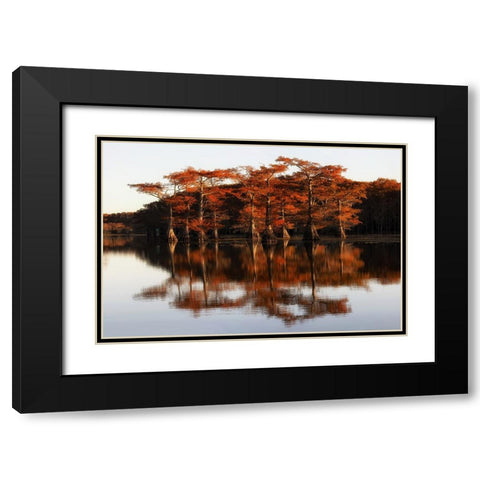 Reflection of Caddo Lake Black Modern Wood Framed Art Print with Double Matting by Chen, Janice W.