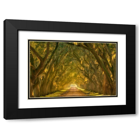 Illumination Alley Black Modern Wood Framed Art Print with Double Matting by Moore, Chris
