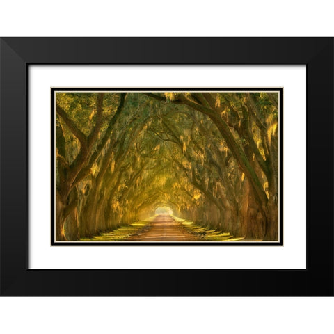 Illumination Alley Black Modern Wood Framed Art Print with Double Matting by Moore, Chris