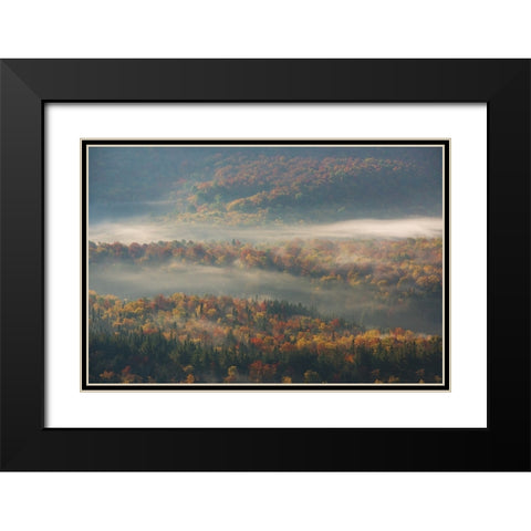 Misty Morning Black Modern Wood Framed Art Print with Double Matting by Austin