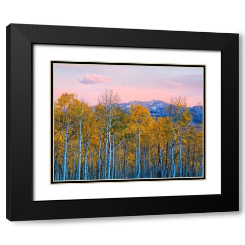 Autumn Delight Black Modern Wood Framed Art Print with Double Matting by Fan, John