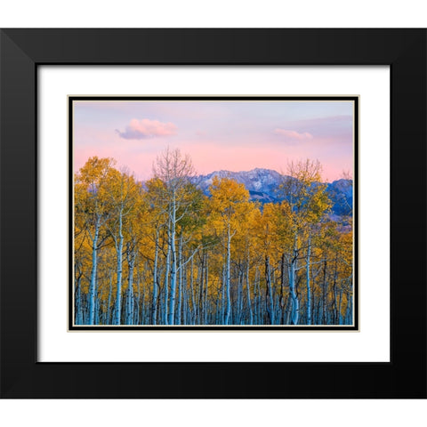 Autumn Delight Black Modern Wood Framed Art Print with Double Matting by Fan, John