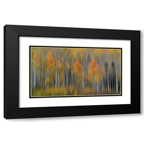 Fall Impression #2 Black Modern Wood Framed Art Print with Double Matting by Austin