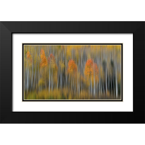 Fall Impression #2 Black Modern Wood Framed Art Print with Double Matting by Austin
