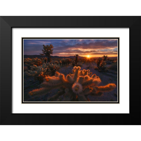 Cholla Garden Black Modern Wood Framed Art Print with Double Matting by CIA, INIGO