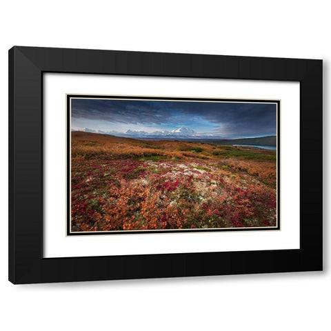 Denali in Fall color at sunrise-Wonder Lake Camping Ground Black Modern Wood Framed Art Print with Double Matting by Howard Liu, Hao