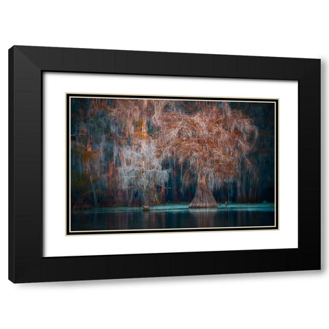 Louisiana Black Modern Wood Framed Art Print with Double Matting by Marchegiani, Roberto