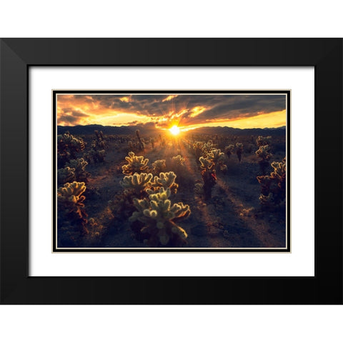 Kingdom Of Chola Black Modern Wood Framed Art Print with Double Matting by Bandyopadhyay, Atanu