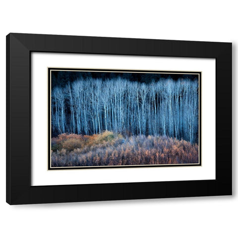 End of Autumn Black Modern Wood Framed Art Print with Double Matting by Xu, Mei