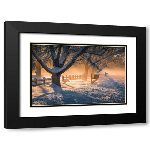 After Snow Storm Black Modern Wood Framed Art Print with Double Matting by Xu, Mei