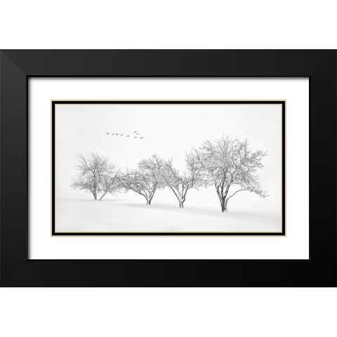 White World Black Modern Wood Framed Art Print with Double Matting by Xu, Mei
