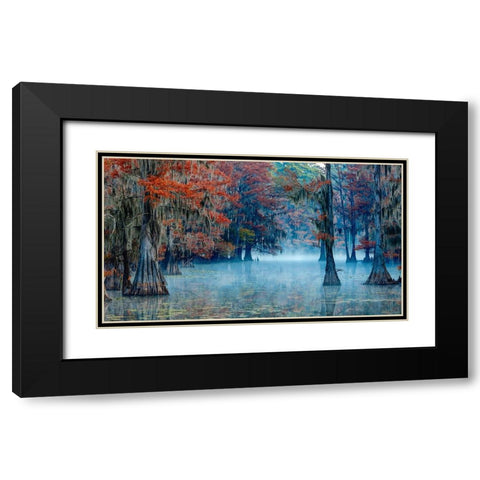 Caddo Lake Black Modern Wood Framed Art Print with Double Matting by Bian, James