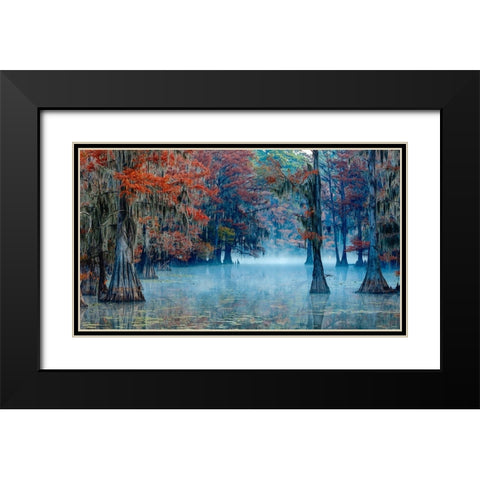 Caddo Lake Black Modern Wood Framed Art Print with Double Matting by Bian, James