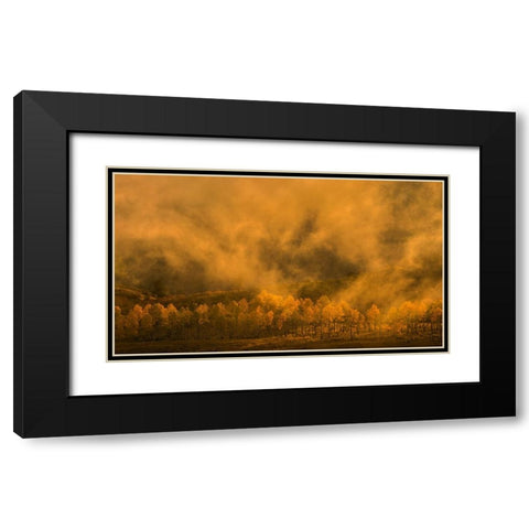 Garden of Eden Black Modern Wood Framed Art Print with Double Matting by Fan, John
