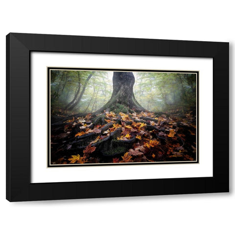 Autumn Black Modern Wood Framed Art Print with Double Matting by Chen, Cicy