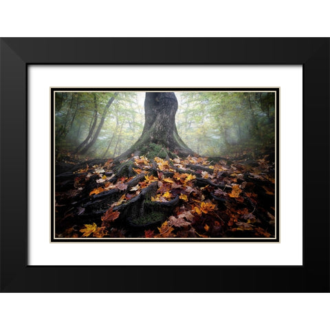 Autumn Black Modern Wood Framed Art Print with Double Matting by Chen, Cicy
