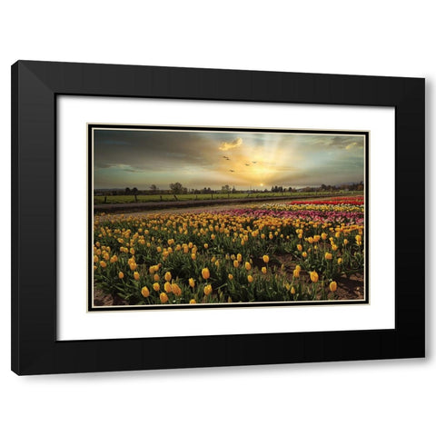 Natures Bounty Black Modern Wood Framed Art Print with Double Matting by Kulkarni, Sunil