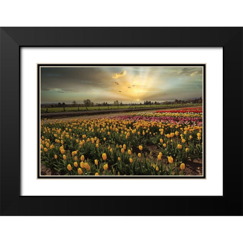 Natures Bounty Black Modern Wood Framed Art Print with Double Matting by Kulkarni, Sunil