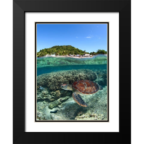 Along shore Black Modern Wood Framed Art Print with Double Matting by Narchuk, Andrey