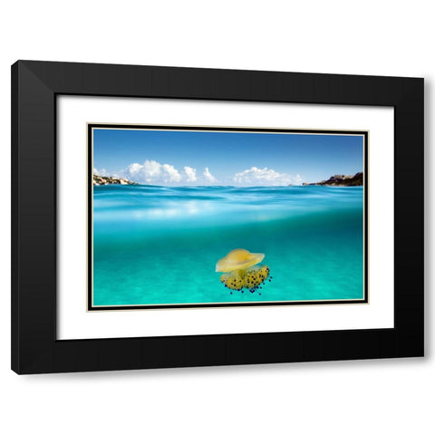 The Dangerous Encounter Black Modern Wood Framed Art Print with Double Matting by Sysa Moiola, Roberto