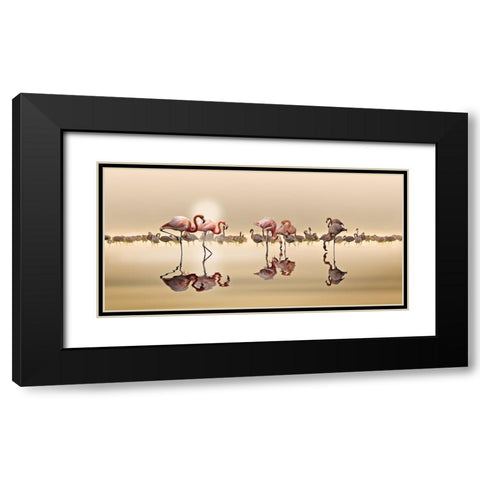 FLAMINGOS Black Modern Wood Framed Art Print with Double Matting by OSMAN, NASSER
