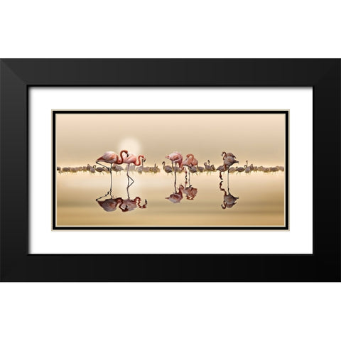 FLAMINGOS Black Modern Wood Framed Art Print with Double Matting by OSMAN, NASSER