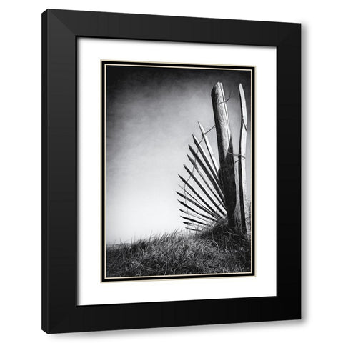 No offence in the dunes Black Modern Wood Framed Art Print with Double Matting by Flour, Bruno