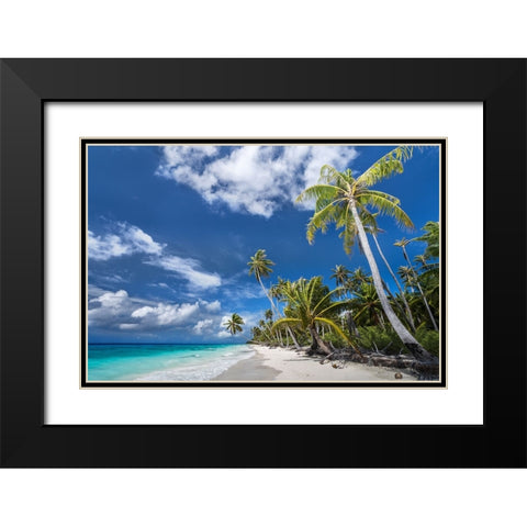Desert Island Black Modern Wood Framed Art Print with Double Matting by Wrobel, Karsten