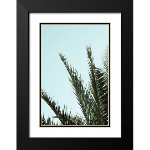 Palm leaves and sky 2 Black Modern Wood Framed Art Print with Double Matting by Artographie Studio
